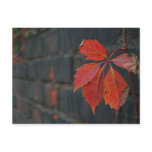 Red Leaves Postcard