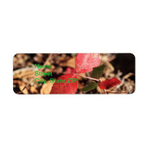 Red Leaves Return Address Labels