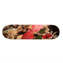 Red Leaves Skate Decks