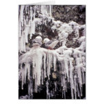 Red-legged Kittiwake by Dean Kildaw Greeting Cards