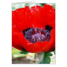 Red Letter Day note Greeting Card