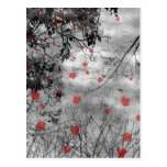 Red Letter Day Wedding Announcement Post Card