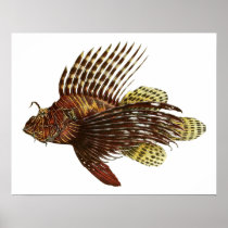 Red Lionfish Vintage Print