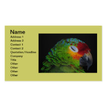Red Lored Amazon Bird Winking Business Card