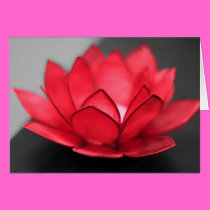 Red Lotus cards