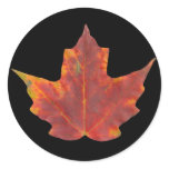 Red Maple Leaf stickers