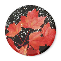 Red Maple Leaves Magnets