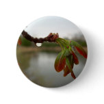 Red Maple Seed Pods at Dawn Pin