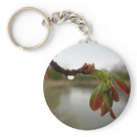 Red Maple Seed Pods at Dawn Key Chains