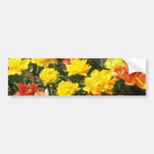 Red Mixed doubles early flowers Bumper Stickers