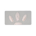 Red-mouthed olive (Oliva miniacea) Shell Custom Address Labels