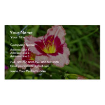 Red New hybrid lily flowers Business Cards
