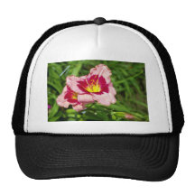Red New hybrid lily flowers Hats