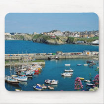 Red Newquay harbour, Cornwall, U.K. flowers Mouse Pad