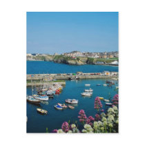 Red Newquay harbour, Cornwall, U.K. flowers Postcard