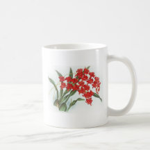 Red Oncidium Mugs