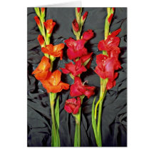 Red, orange and scarlet gladiolus  flowers greeting cards