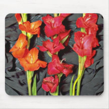 Red, orange and scarlet gladiolus  flowers mouse pads