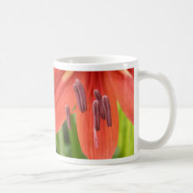 Red Orange Lilly macro Coffee Mug