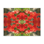 Red Orchid Abstract Postcard