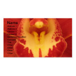 Red Orchid Business Card