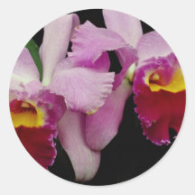 Red Orchid cattleya Irene Finney flowers Round Stickers