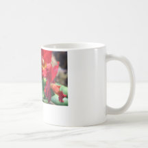 red orchid mugs
