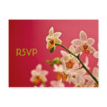 Red Orchid • RSVP Postcard - Customized