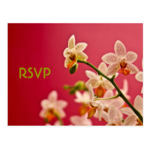 Red Orchid • RSVP Postcard - Customized