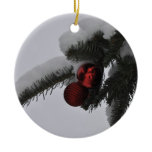 Red Ornaments 2