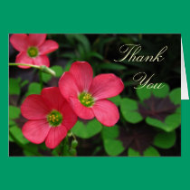 Red Oxalis Thank You ~ card cards