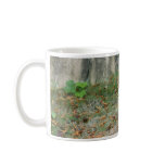 red-panda-001 coffee mug