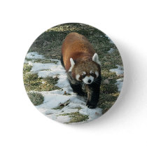 Red Panda buttons