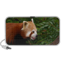 Red Panda Mini Speaker