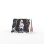 Red Panda notecard: "Where you been? I miss you!"