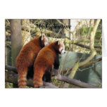 Red Panda Valentine Card