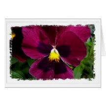 Red Pansie Easter Greeting Card