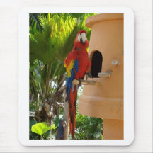 Red Parrot Mousepads