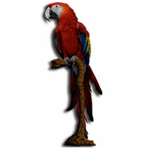 Red Parrot Photo Sculpture
