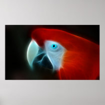 Red parrot with blue eyes posters
