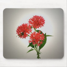 Red Penta Mousepad