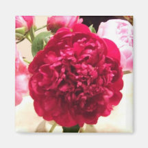 Red Peony Magnet Peonies