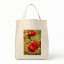Red Peppers Canvas Bag
