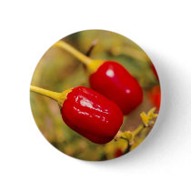 Red Peppers