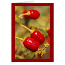 Red Peppers Card