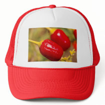 Red Peppers