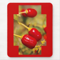 Red Peppers