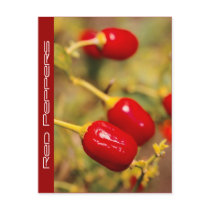 Red Peppers