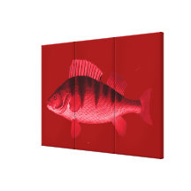 Red Perch Gallery Wrap Canvas