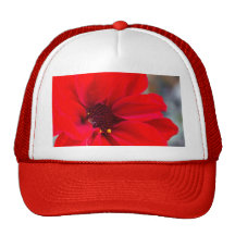 Red Petals Hat